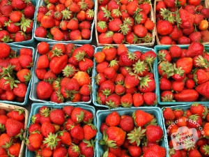 strawberry-photo1-m