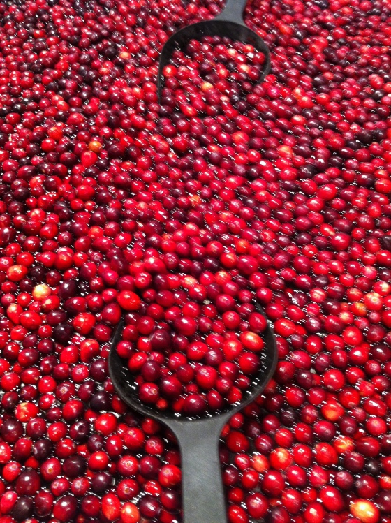 cranberries-photo