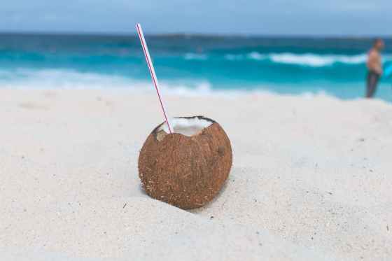 brown coconut on sand